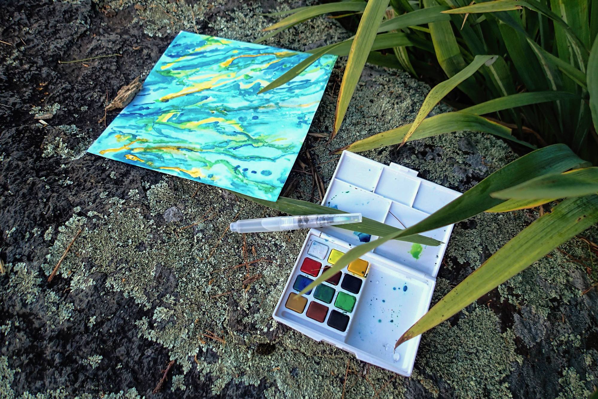 13963044_10210412623091440_954338476581758913_o