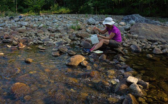 20988281_10214174473455348_9111282026649197347_o