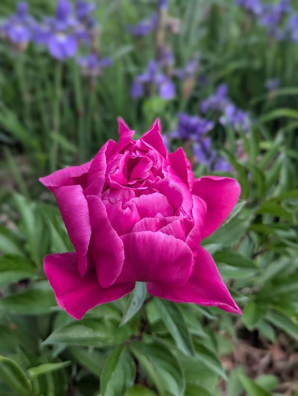 Saved By A Pause And the Raising Of My Eyes | Life lived with ...